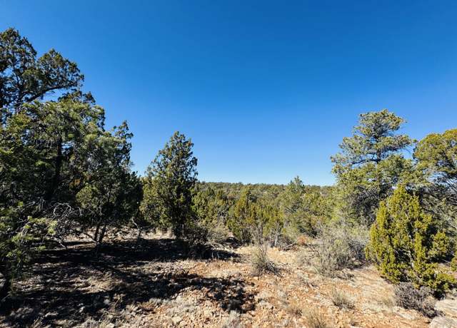 Property at 4108 Sunset Rdg Lp Loop, Happy Jack, AZ 86024