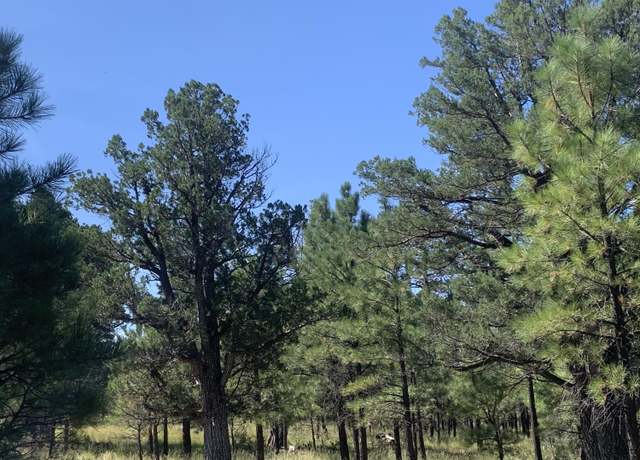 Property at 4514 Stargazer Dr, Happy Jack, AZ 86024