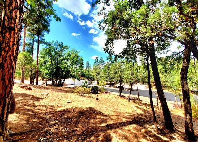 Property at Lot 19 Strawberry Holw, Pine, AZ 85544