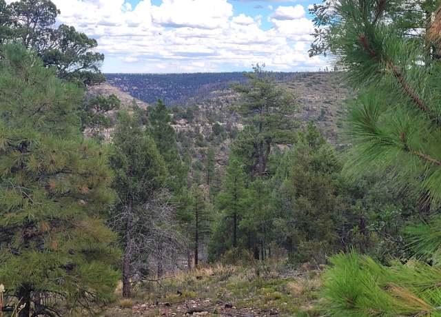 Property at 5089 Morning View Dr, Happy Jack, AZ 86024