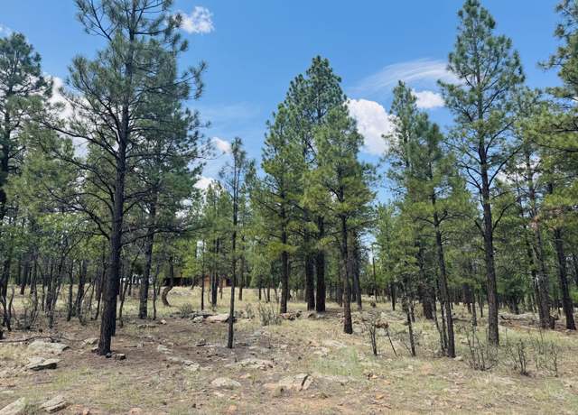 Property at 4185 Apache Dr, Happy Jack, AZ 86024