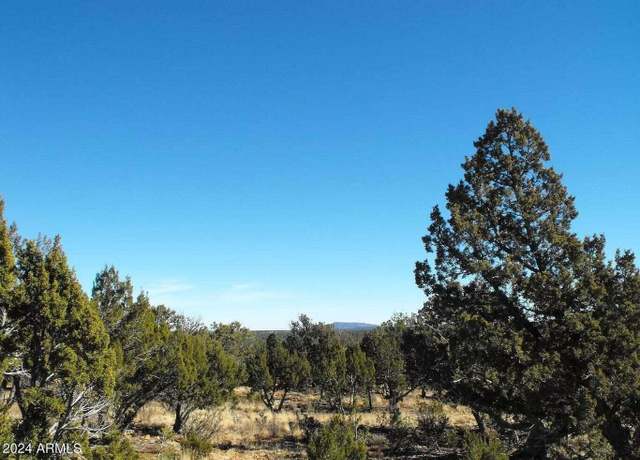 Property at 4131 Sunset Rdg Lp Loop, Happy Jack, AZ 86024