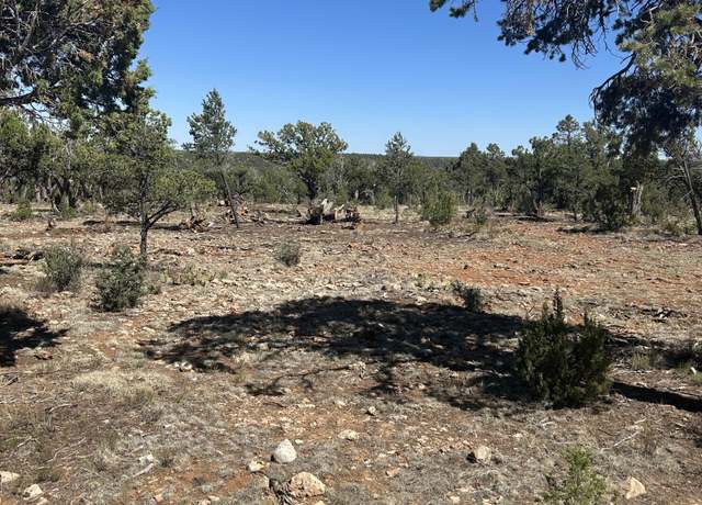 Property at 4131 Sunset Rdg Lp Loop, Happy Jack, AZ 86024