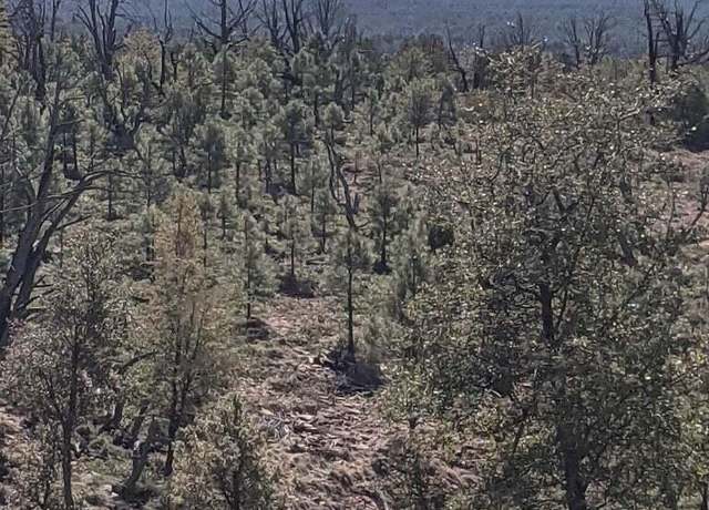 Property at 41&42 Antelope Trl, Payson, AZ 85541