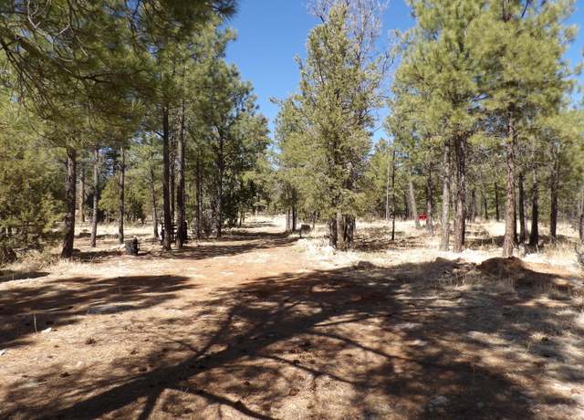 Property at 3900 Morning View Dr, Happy Jack, AZ 86024