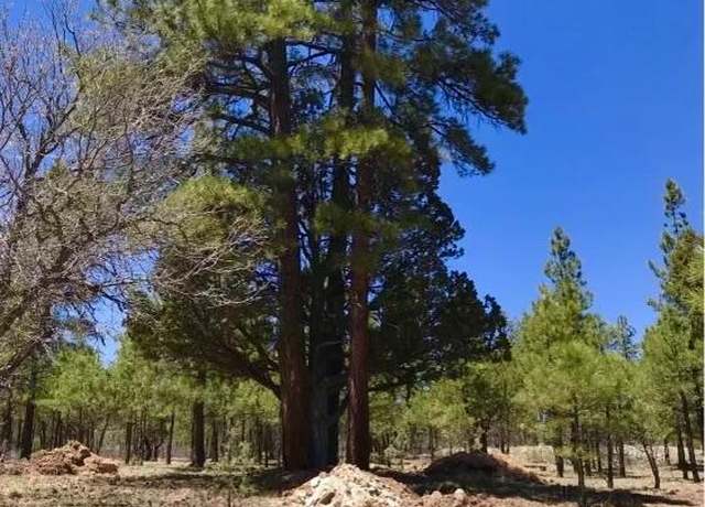Property at 2647 Apache Dr, Happy Jack, AZ 86024
