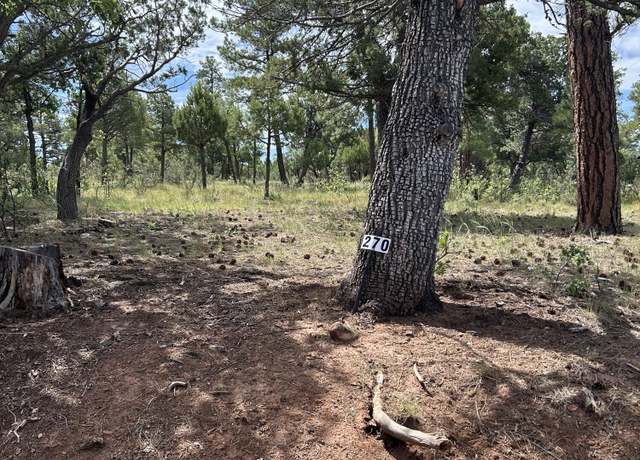 Property at 5852 Teton Way, Happy Jack, AZ 86024