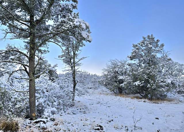 Property at 4H Ike Clark Pkwy, Young, AZ 85554