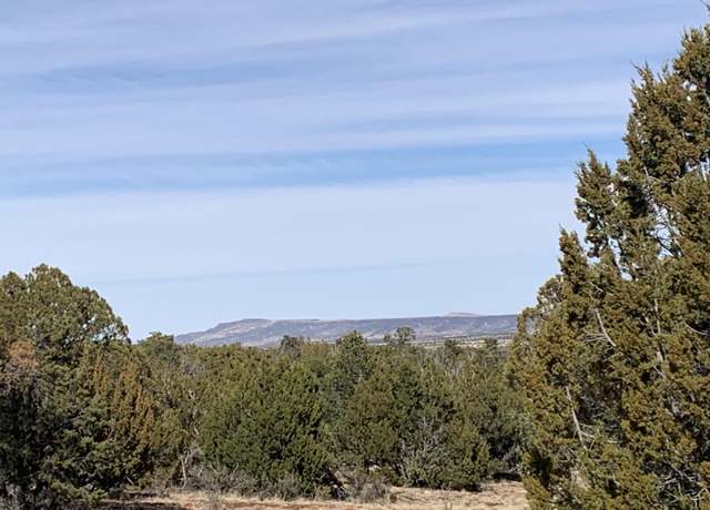 Property at 7310 Red Feather Ct, Happy Jack, AZ 86024