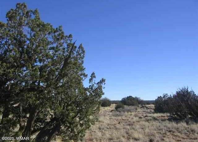 Property at Sec 5 T14n,r16e CR -lot 016b, Heber, AZ 85928