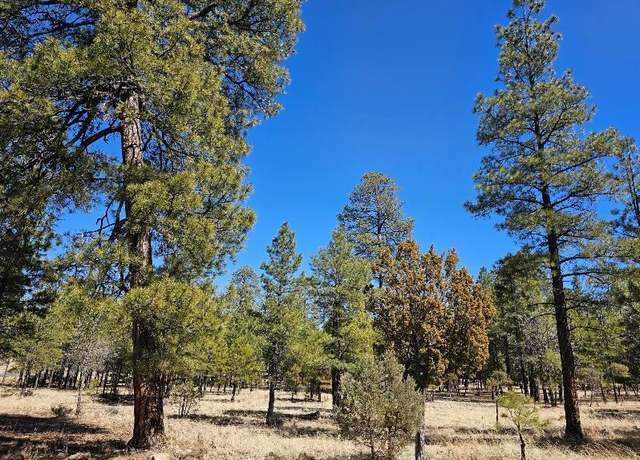 Property at 2591 Katies Way Way, Happy Jack, AZ 86024