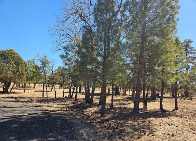 Property at 5732 Raton Cir, Happy Jack, AZ 86024