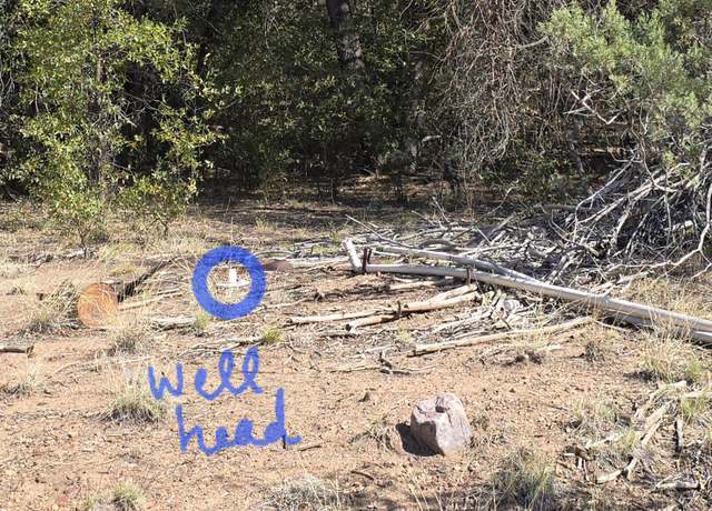 Property at 16E Naegelin Xing, Young, AZ 85554