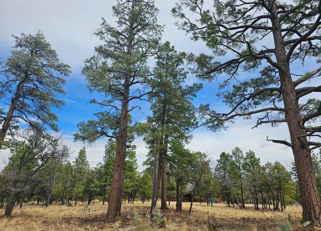 Property at 2382 San Juan Dr, Happy Jack, AZ 86024