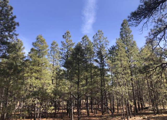 Property at 4846 Stargazer Dr, Happy Jack, AZ 86024