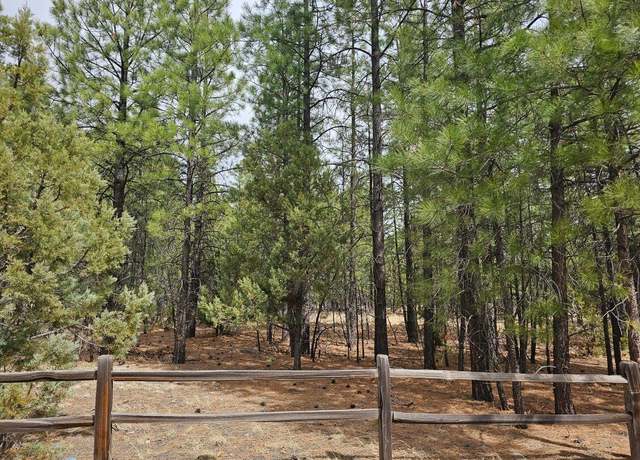 Property at 4846 Stargazer Dr, Happy Jack, AZ 86024