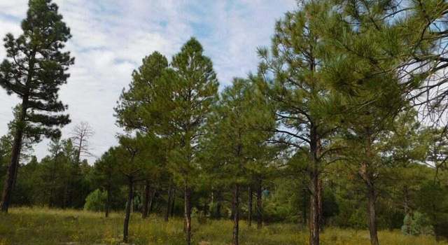 Photo of 01 Coconino Forest Road FR 137a St, Happy Jack, AZ 86024
