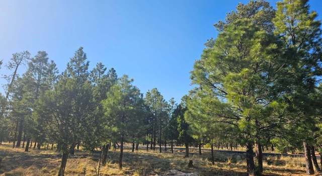 Photo of 1608 Woodside Pl, Happy Jack, AZ 86024