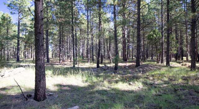 Photo of 212 Mule Springs Trl, Forest Lakes, AZ 85931