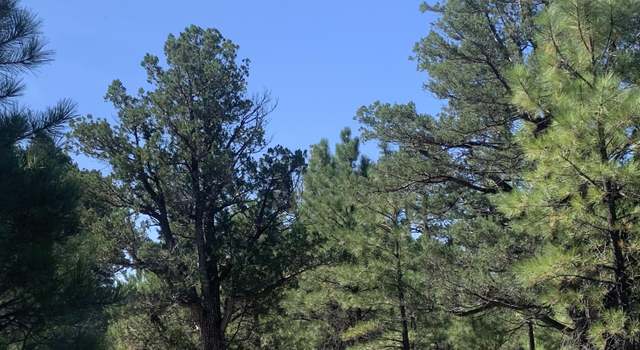 Photo of 4514 Stargazer Dr, Happy Jack, AZ 86024