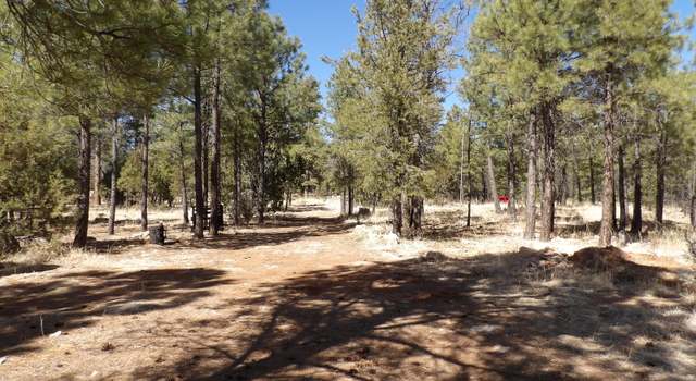 Photo of 3900 Morning View Dr, Happy Jack, AZ 86024