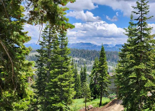 Property at 350 Snowshoe Rd Rd, Bear Valley, CA 95223