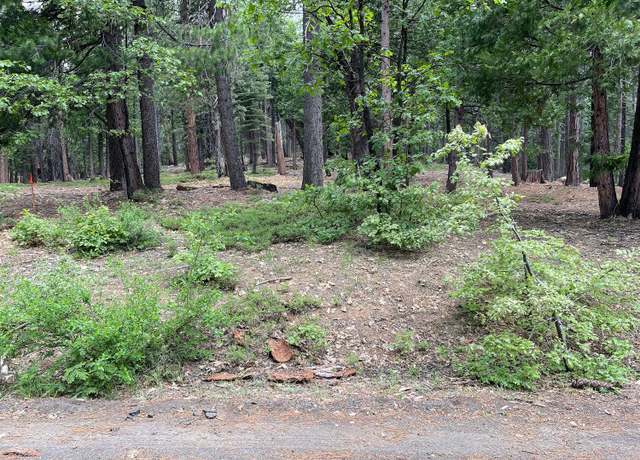 Property at 0 Sierra Pkwy, Camp Connell, CA 95223