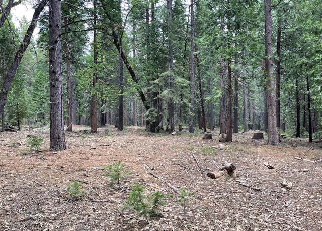 Property at 5 Shoshone Dr, Camp Connell, CA 95223
