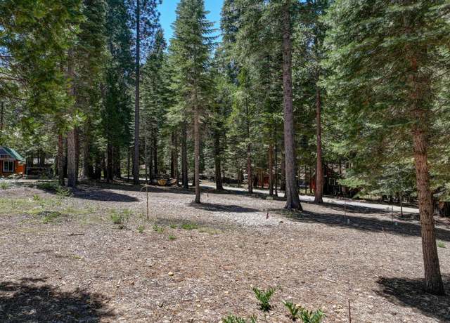 Property at 3380 El Camino Boot Strap, Dorrington, CA 95223