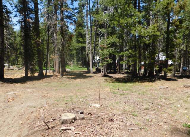 Property at 282 Little Buck Rd, Tamarack, CA 95223