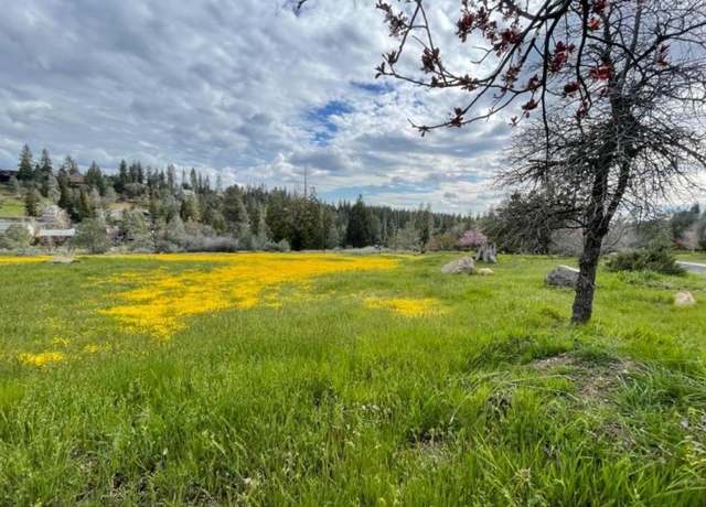 Property at 386 Buckthorn Dr, Murphys, CA 95247