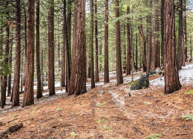 Property at 3094 Shoshone Dr, Camp Connell, CA 95223