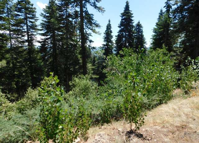 Property at 1752 Skyline Drive Dr, Sky High, CA 95223