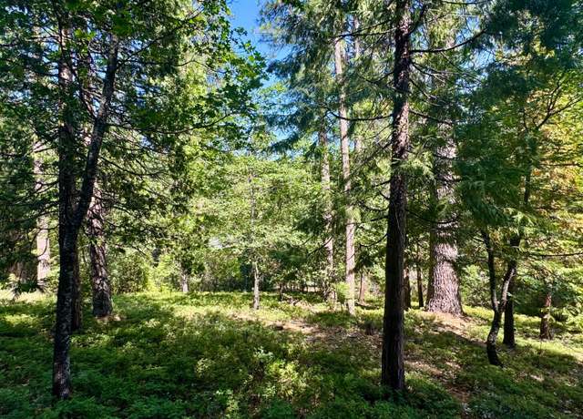 Property at 1647 Gertrude Way, Arnold, CA 95223