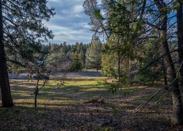 Property at 297 Forest Meadows Dr, Murphys, CA 95247