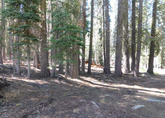 Property at 0 Kitch Trl, Tamarack, CA 95223