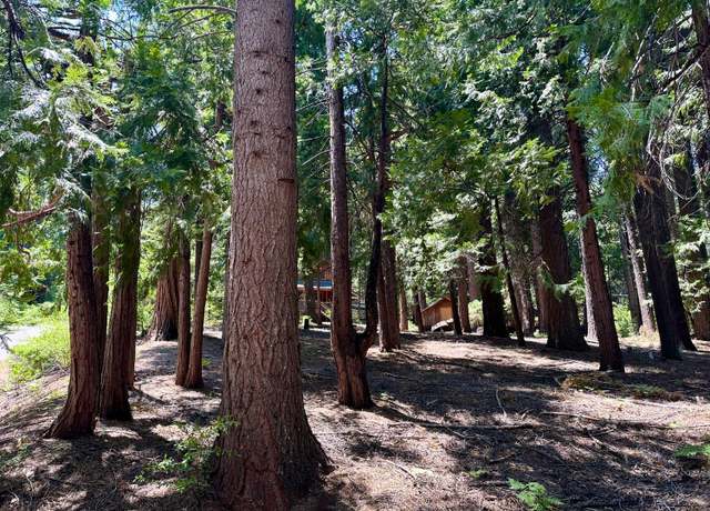 Property at 2913 Zuni Dr, Arnold, CA 95223