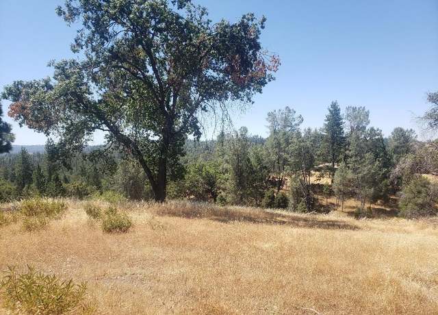 Property at 390 Red Fox Rd, Mountain Ranch, CA 95246