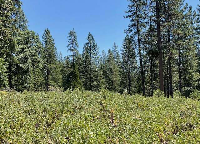 Property at 1943 Lightning Ln, Arnold, CA 95223