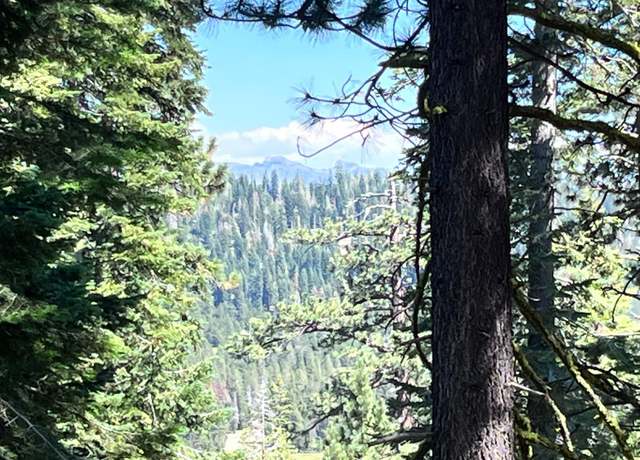 Property at 278 Bloods Ridge Road Rd, Bear Valley, CA 95223