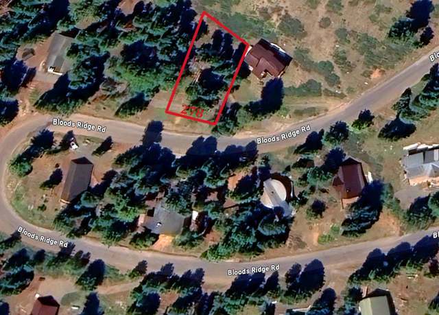 Property at 278 Bloods Ridge Road Rd, Bear Valley, CA 95223