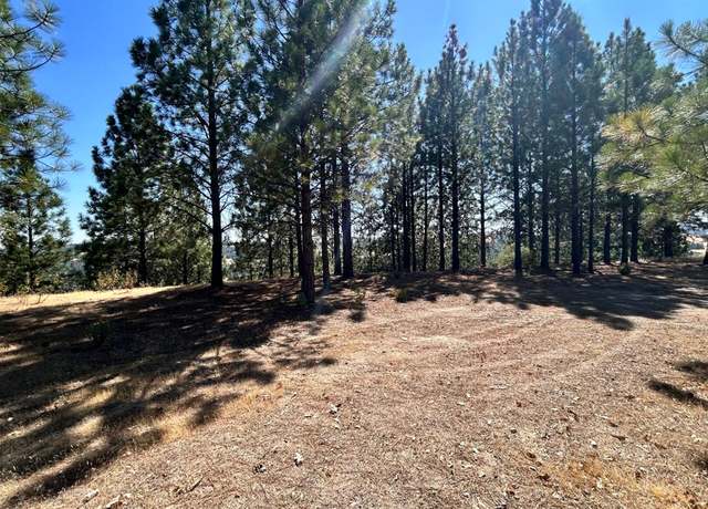 Property at 773 Red Fox Rd, Mountain Ranch, CA 95246