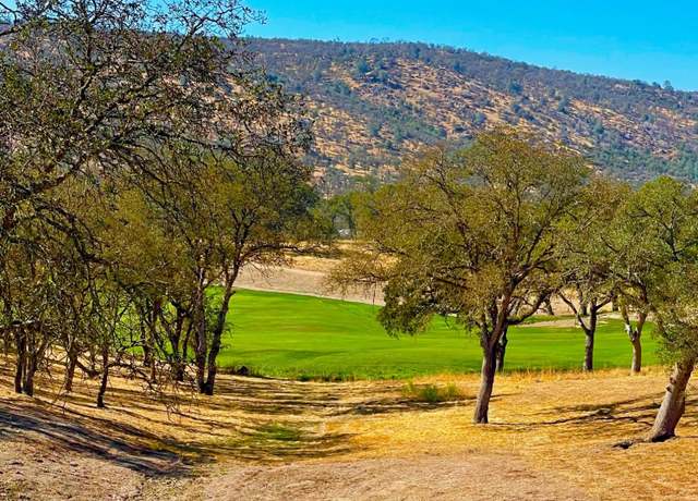 Property at 2 Mosswood Ct, Copperopolis, CA 95228