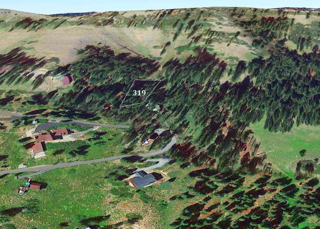 Property at 319 Snowshoe Road Rd, Bear Valley, CA 95223