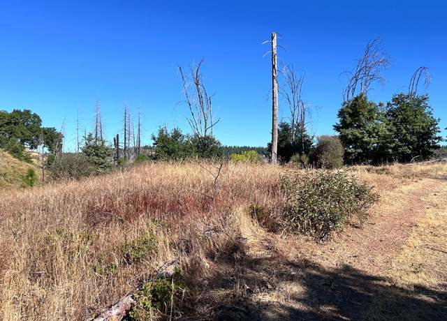 Property at 6028 Railroad Flat Rd, Mountain Ranch, CA 95246