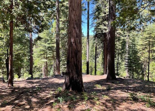Property at 1619 Shoshone Dr, Dorrington, CA 95223