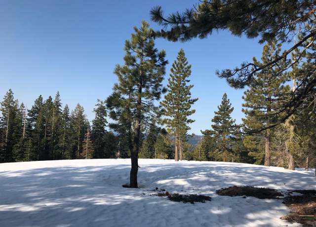 Property at 54 Liberty Rd, Dorrington, CA 95223