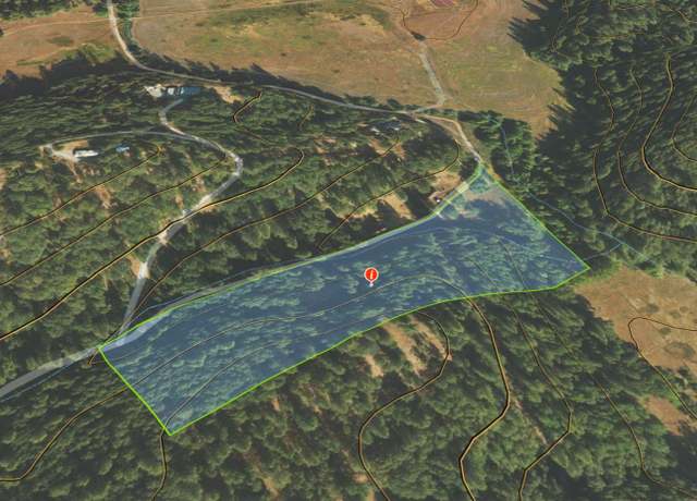 Property at 958 Mccarthy Reservoir Rd, Railroad Flat, CA 95248