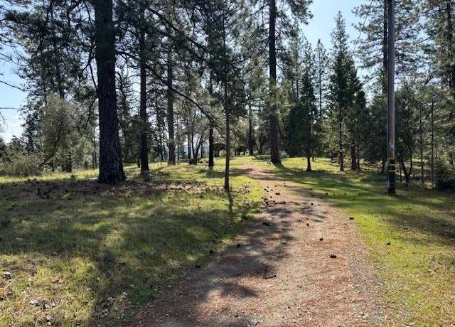 Property at 19292 Shawnee Trl, Mokelumne Hill, CA 95245