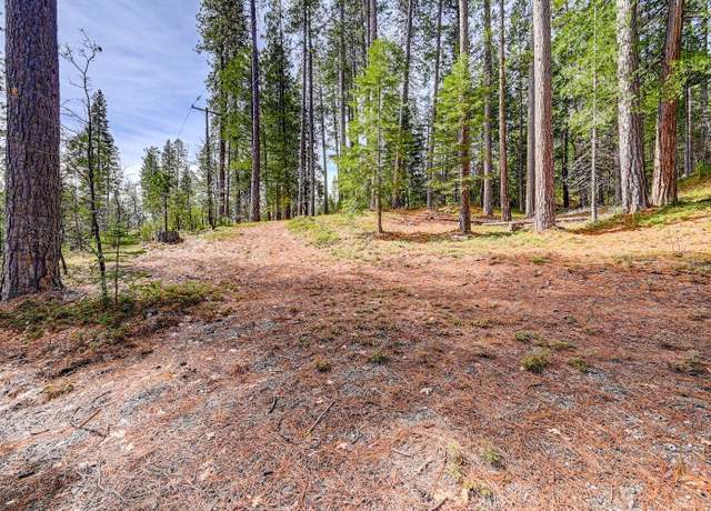 Property at 3488 Moran Rd #3184, Avery, CA 95224